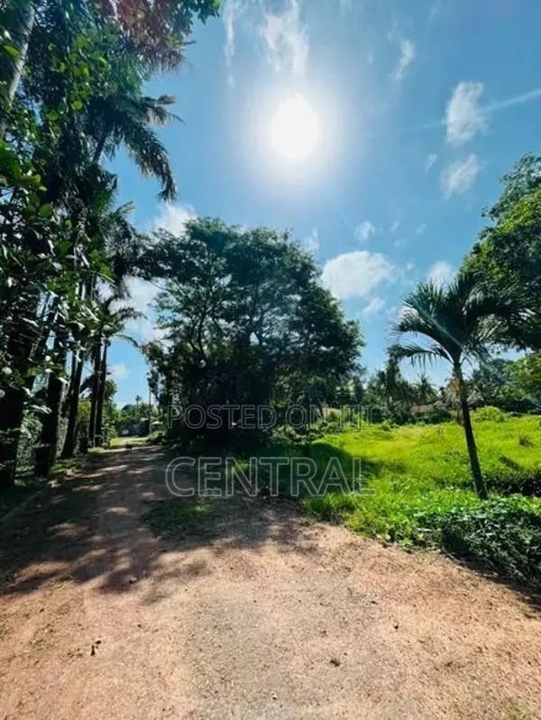 Prime 5 Acres Land for Sale In Wennappuwa (C7-10330)