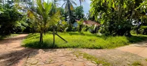 කඩවල - දිවුලපිටිය ප්‍රදේශයෙන් පර්චස් 22ක්