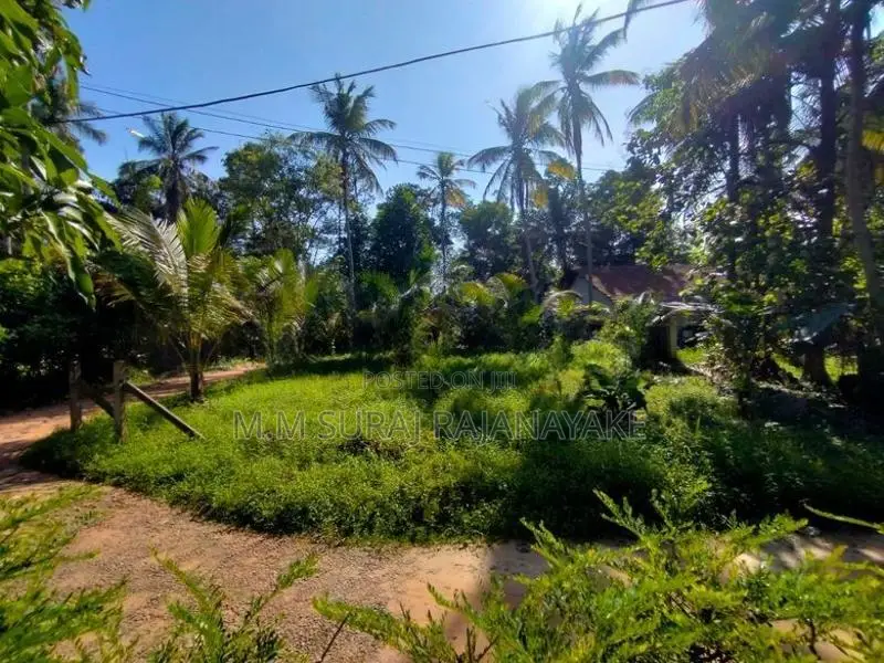 කඩවල - දිවුලපිටිය ප්‍රදේශයෙන් පර්චස් 22ක්