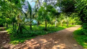 කඩවල - දිවුලපිටිය ප්‍රදේශයෙන් පර්චස් 22ක්