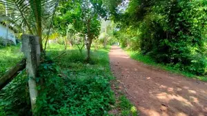 කඩවල - දිවුලපිටිය ප්‍රදේශයෙන් පර්චස් 22ක්