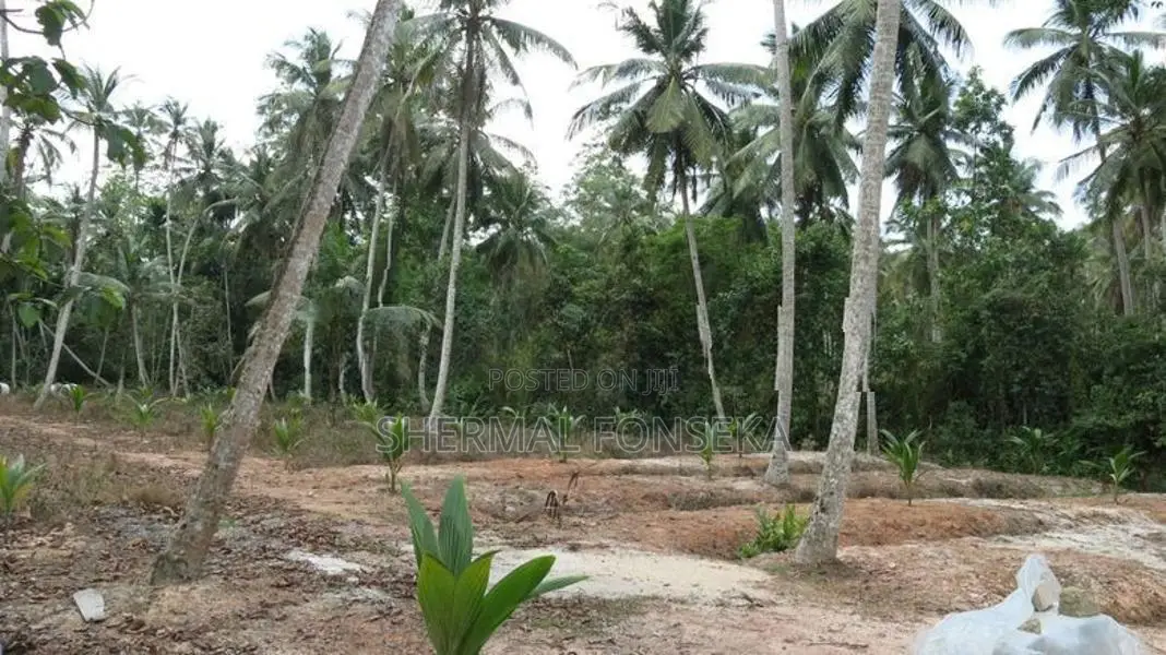Minuwangoda Divulapitiya Dunagaha Land for Sale Close to Negombo Rd