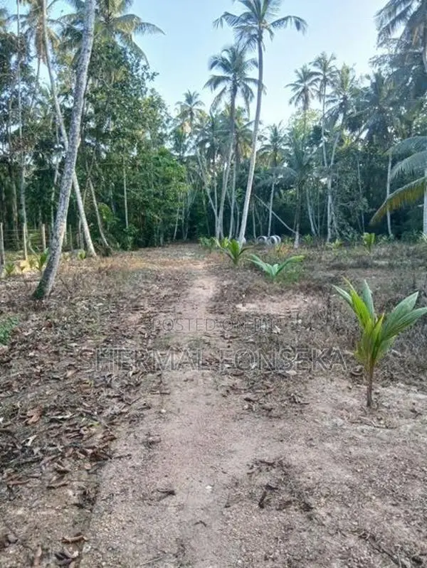 Minuwangoda Divulapitiya Dunagaha Land for Sale Close to Negombo Rd