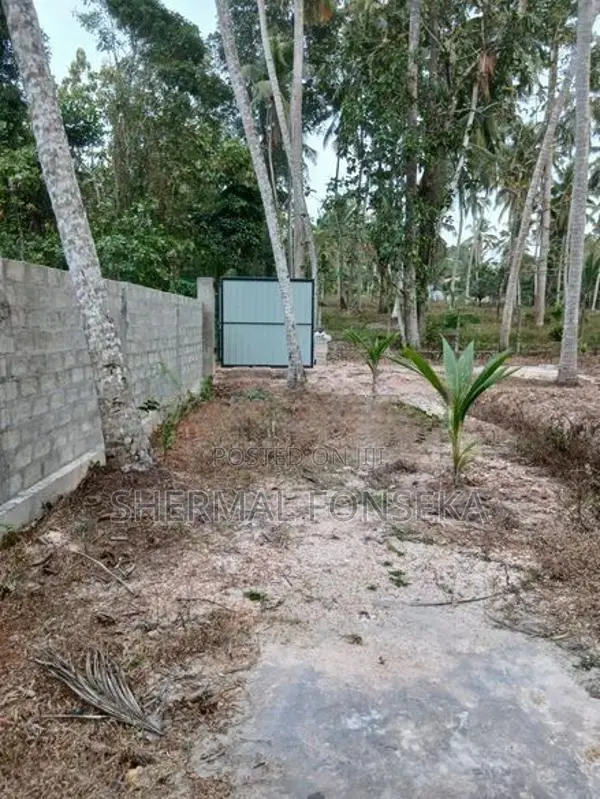 Minuwangoda Divulapitiya Dunagaha Land for Sale Close to Negombo Rd
