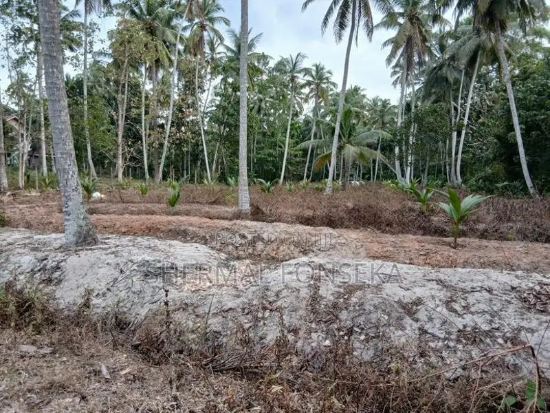 Minuwangoda Divulapitiya Dunagaha Land for Sale Close to Negombo Rd