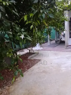 House Rent in Panadura