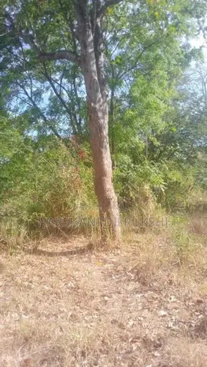 Land for Sale in Wellawaya