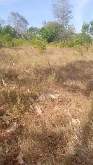 Land for Sale in Wellawaya