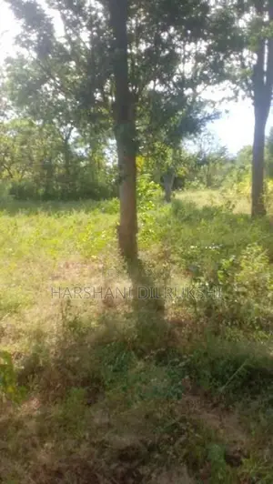 Land for Sale in Wellawaya