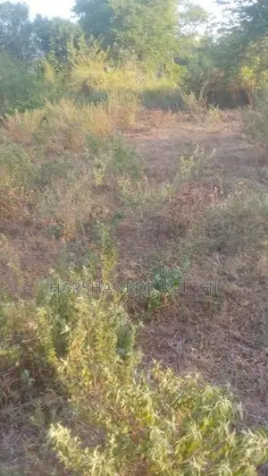 Land for Sale in Wellawaya