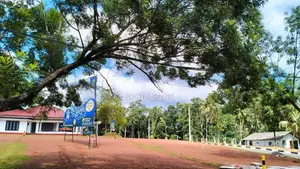 Land for Sale in දන්කොටුව