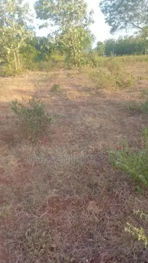 Land for Sale in Wellawaya