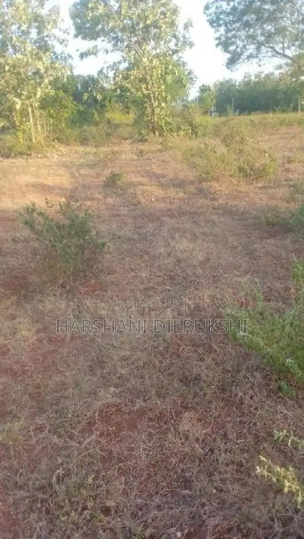 Land for Sale in Wellawaya