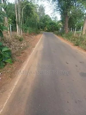 කොලඹ - මොණරාගල ප්‍රධාන පාරට 600m දුරින් ඉඩමක් විකිනීමට