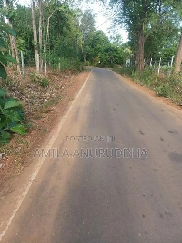 කොලඹ - මොණරාගල ප්‍රධාන පාරට 600m දුරින් ඉඩමක් විකිනීමට