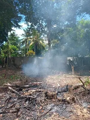 පොල් අක්කර 11 ක් විකිණීමට මදුරන්කුලි