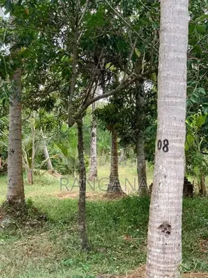 අක්කර දෙකක අගනා ඉඩමක් - වැලිපැන්න
