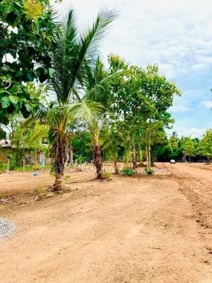 අනුරාධපුරේන් පර්චස් 10 සින්නක්කර බිම් කොටස්