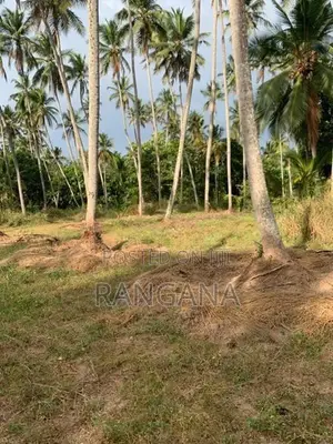 අක්කර දෙකක අගනා ඉඩමක් - වැලිපැන්න