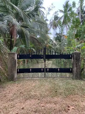 අක්කර දෙකක අගනා ඉඩමක් - වැලිපැන්න