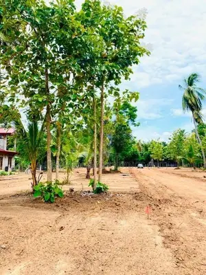 අනුරාධපුර කුට්ටම් පොකුණ ආසන්නයෙන් සින්නක්කර බිම් කොටස්