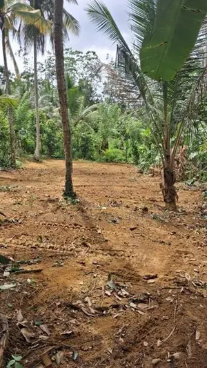 8.5 Perch Residential Land for Sale - Ranala