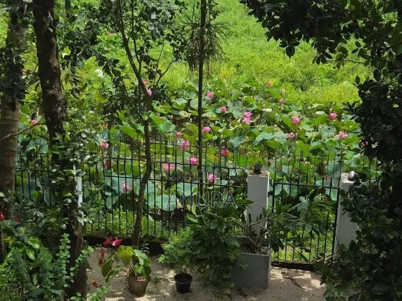 House for Sale - Kiribathgoda