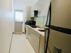 Furnished luxury apartment for rent at Capitol Elite Colombo 7