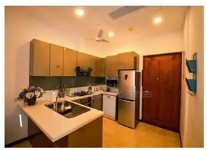 Luxury Appartment for Rent in Colombo 7