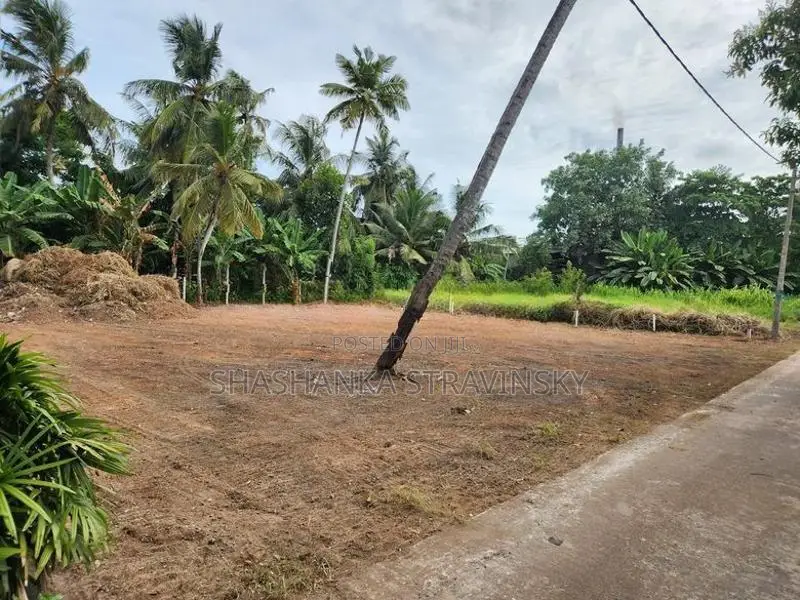 Prime 20 Perch Land for Sale in Seeduwa