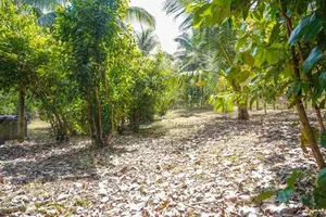 54 Perch Land for Sale – Kahatuduwa