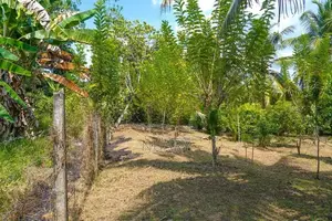 54 Perch Land for Sale – Kahatuduwa