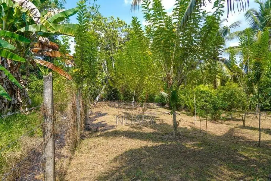 54 Perch Land for Sale – Kahatuduwa