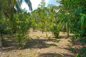 54 Perch Land for Sale – Kahatuduwa