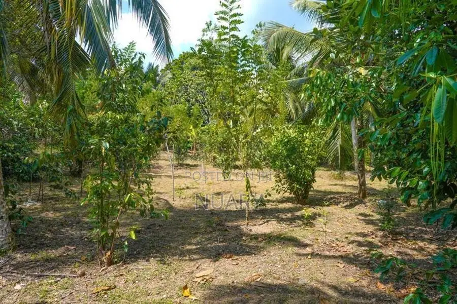 54 Perch Land for Sale – Kahatuduwa
