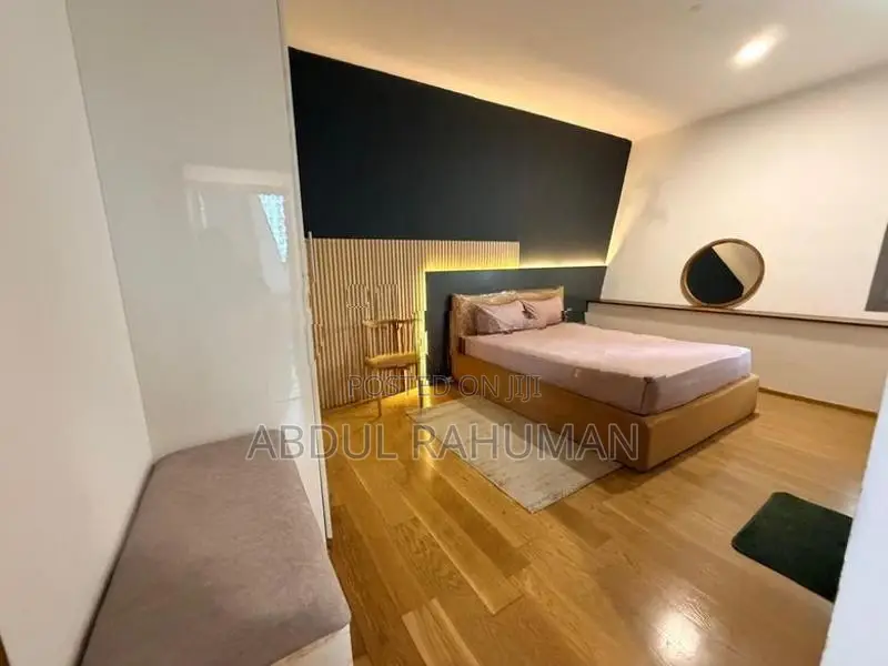 Luxurious Fully Furnished Apartment Colombo 4 only Locald No Foreigner