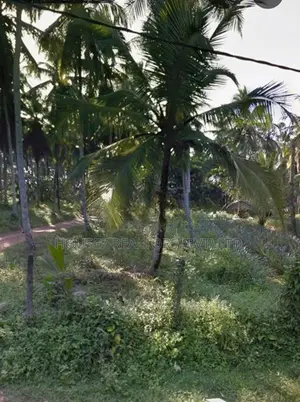 11-Acre Commercial Land for Rent – Kirikiththa